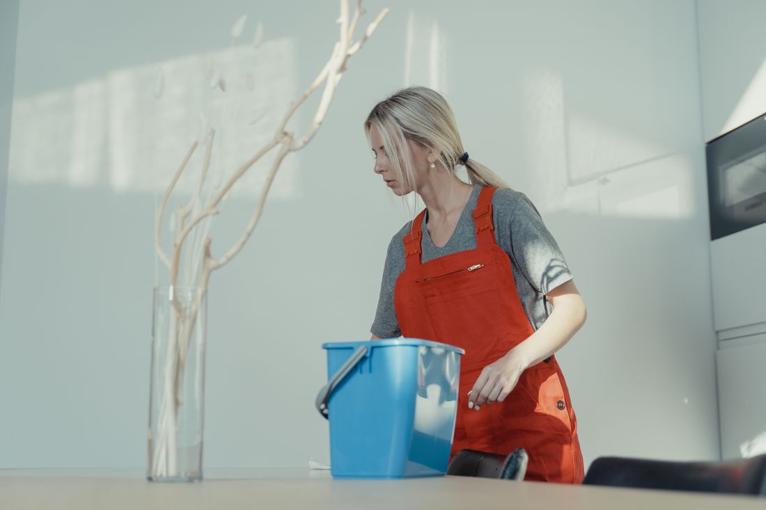 Cleaning and maintenance